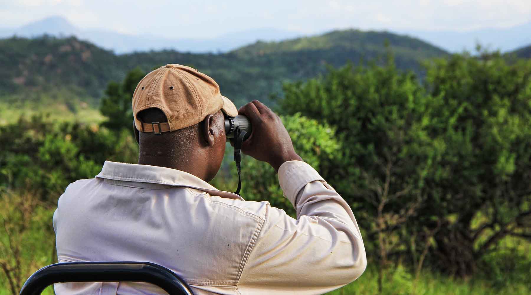 Man in a beige cap and white shirt using binoculars to observe wildlife, with a lush green landscape and mountain range in the background