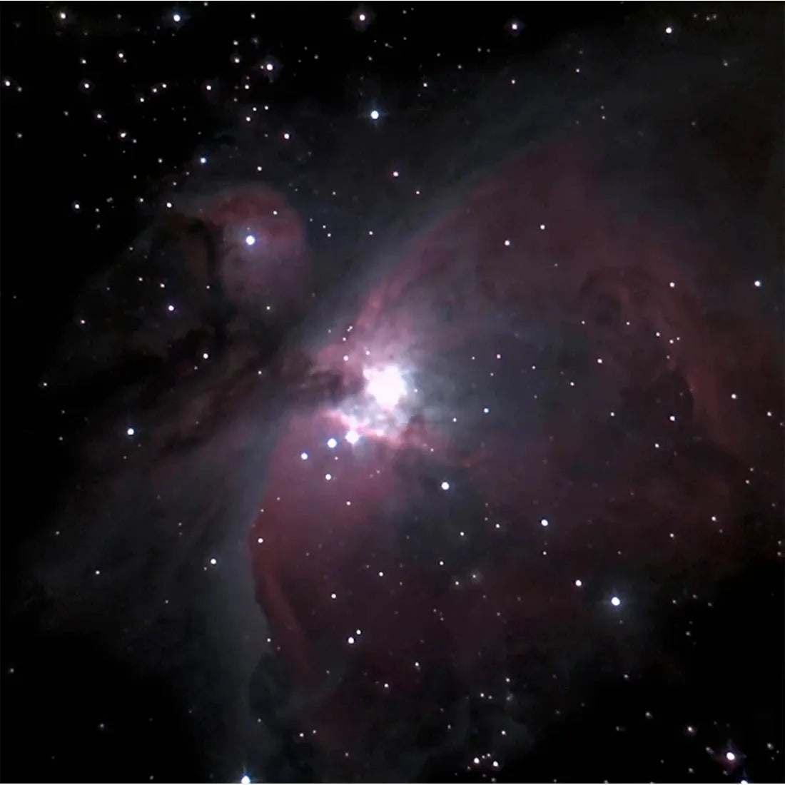 Image captured through the Unistellar Odyssey PRO smart telescope showcasing the Orion Nebula