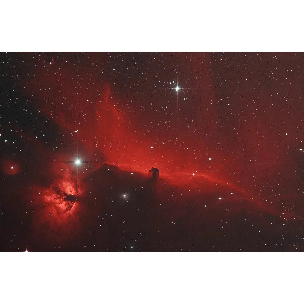 ANTLIA ALP-T "gold" Dual Band 5nm Filter- 36mm - Vega Vision