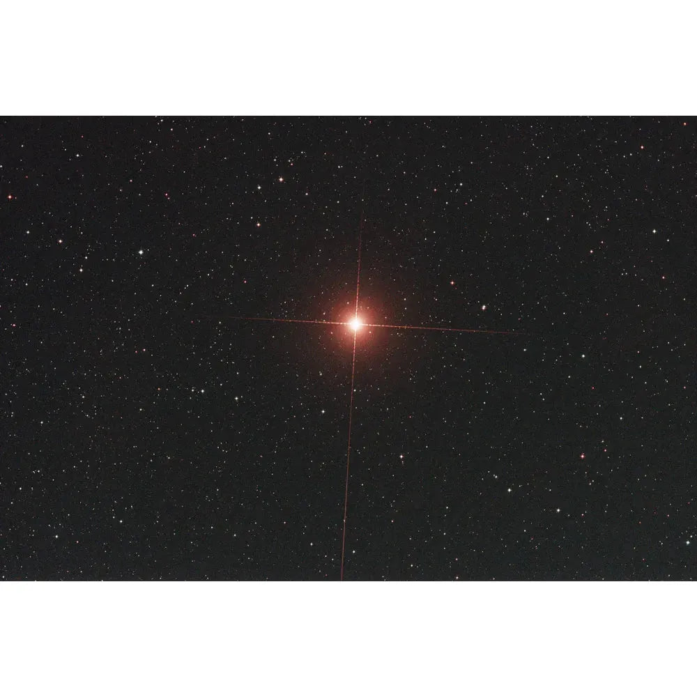 ANTLIA ALP-T &quot;gold&quot; Dual Band 5nm Filter- 36mm - Vega Vision