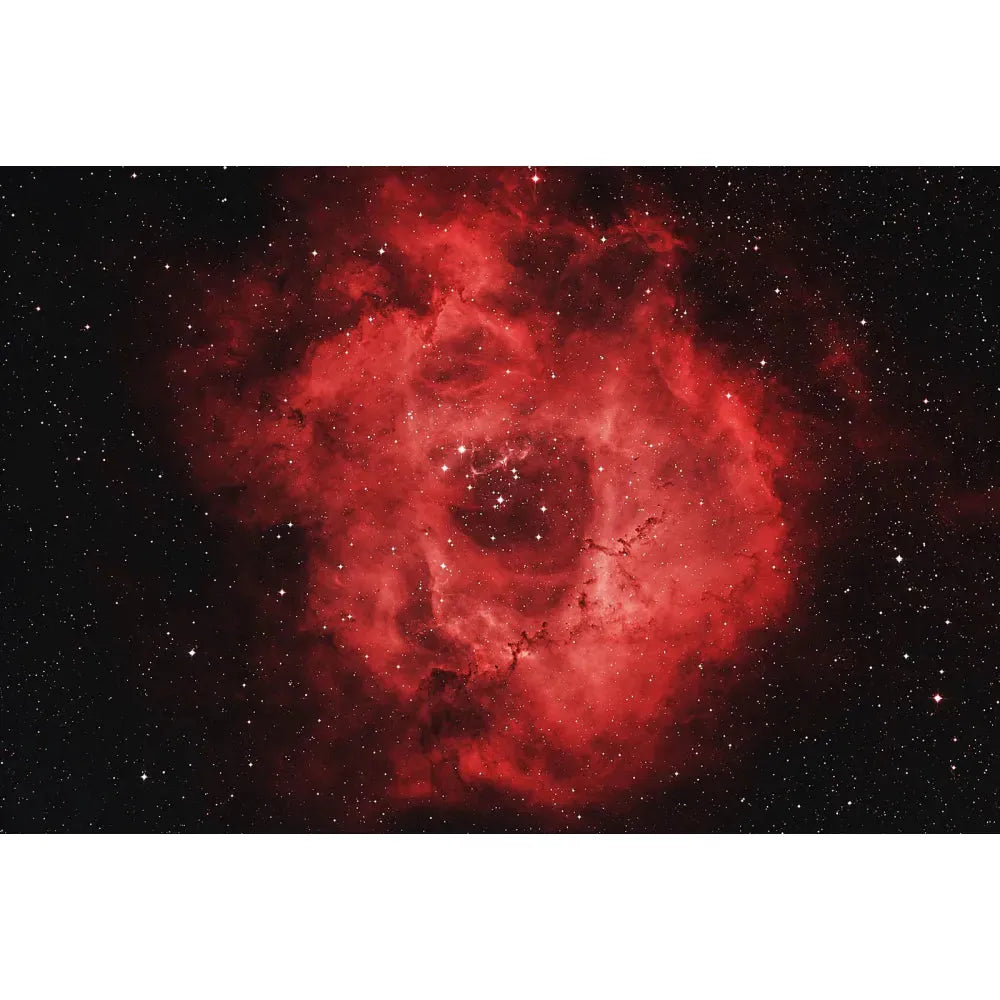 ANTLIA ALP-T &quot;gold&quot; Dual Band 5nm Filter- 36mm - Vega Vision