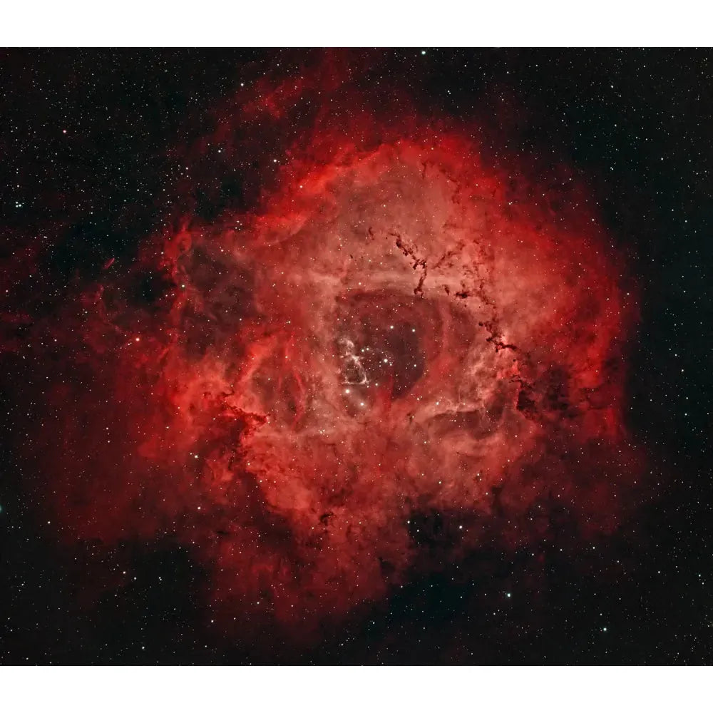 ANTLIA ALP-T &quot;gold&quot; Dual Band 5nm Filter- 36mm - HIGH SPEED Version for f/2.2 to f/3.6 - Vega Vision