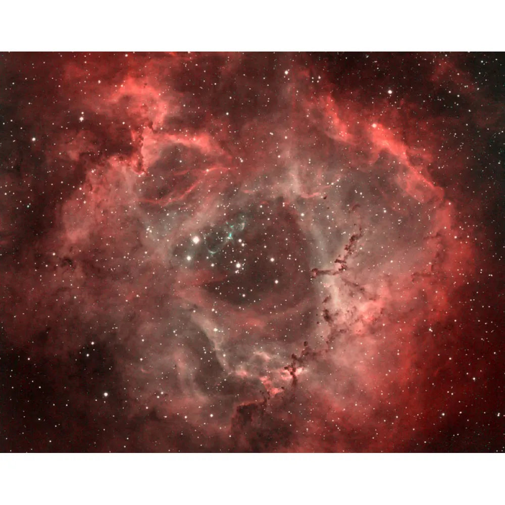 Optolong H-Alpha 12nm Narrowband Deepsky Filter EOS-C for Canon APS-C Cameras - Vega Vision