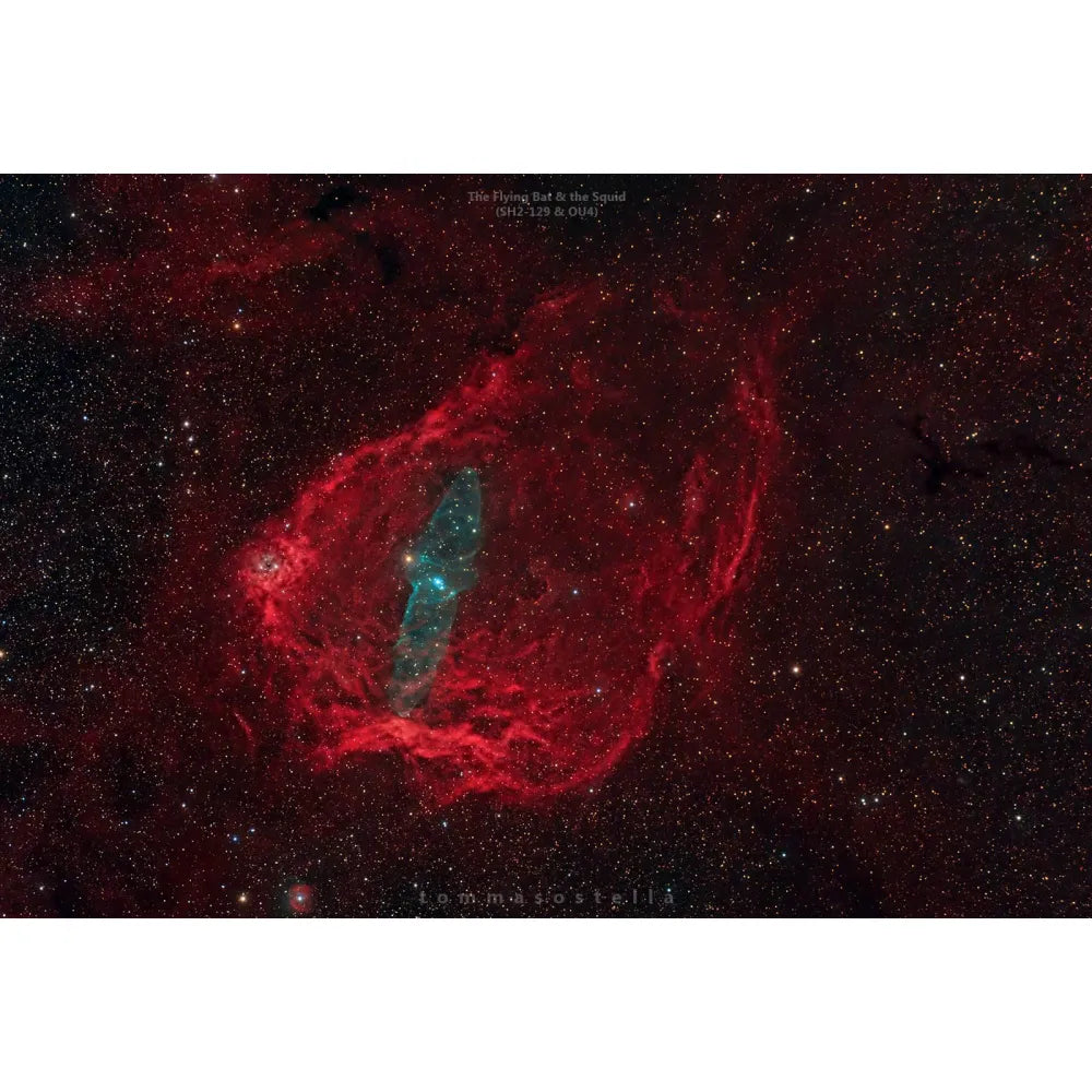 Optolong L-Ultimate Light Pollution Dual-Bandpass 3nm Narrowband Imaging Filter - 2&quot; - Vega Vision